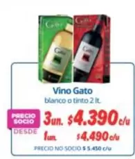 Gato - Vino