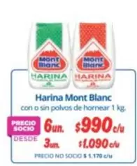 Mont Blanc - Harina Blanc