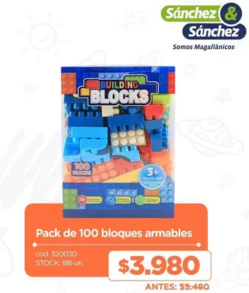 Pack De 100 Bloques Armables