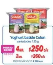 Colun - Yoghurt Batido
