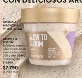 Glow To Bloom