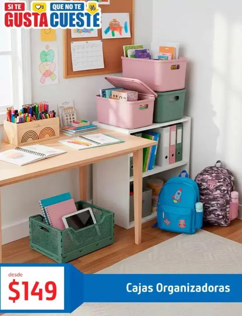 Cajas Organizadoras