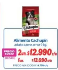 Cachupin - Alimento