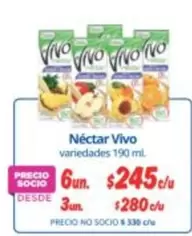 Vivo - Nectar