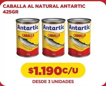 Caballo Loco - Al Natural Antic