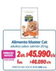Master Cat - Alimento