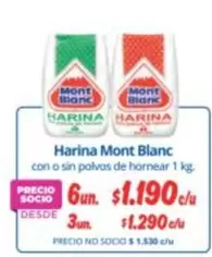 Mont Blanc - Harina Blanc