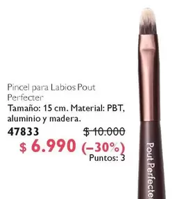 Pincel Para Labios Pour Perfecter