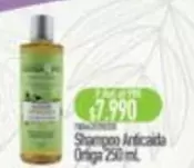 Shampoo Articaita