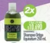 Shampoo Orspa Equasturn