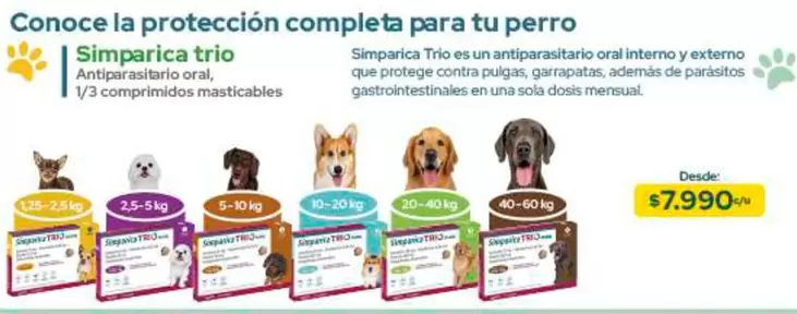 Trio - Conoce La Proteccion Completa Para Tu Perro