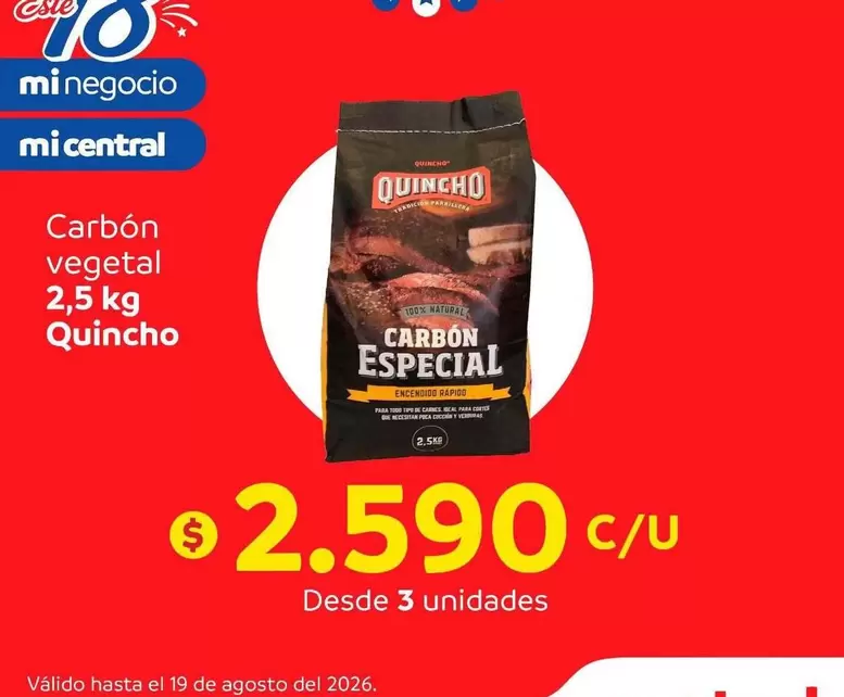 Quincho - Carbón Vegetal