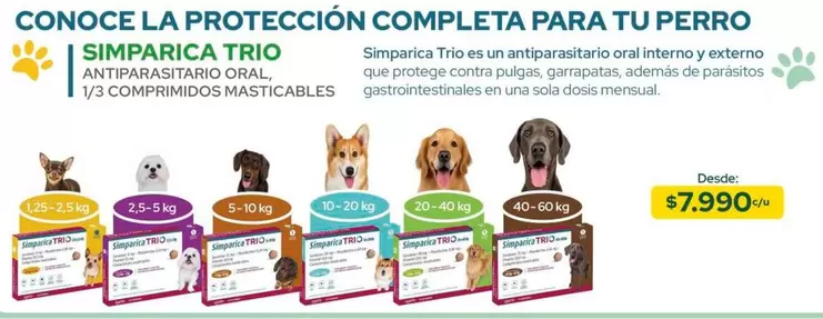 Trio - Conoce La Protección Completa Para Tu Perro