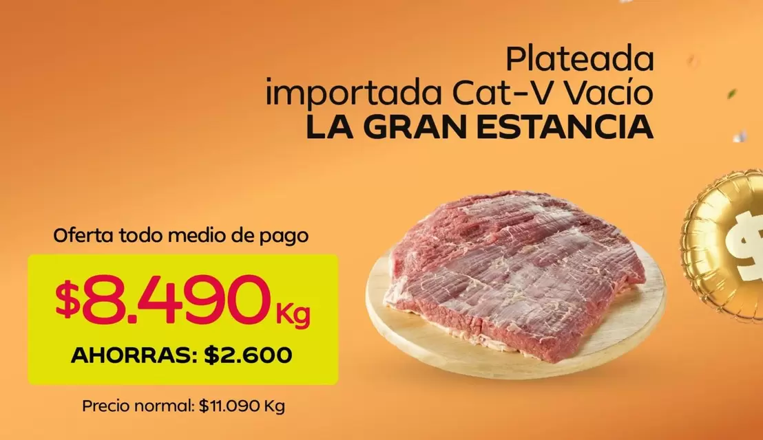 Plateada Importada Cat-v Vacio