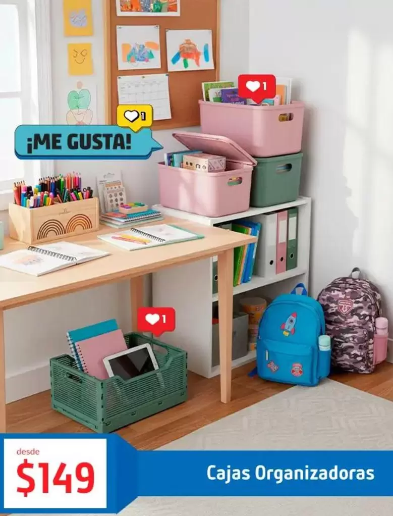 Cajas Organizadoras