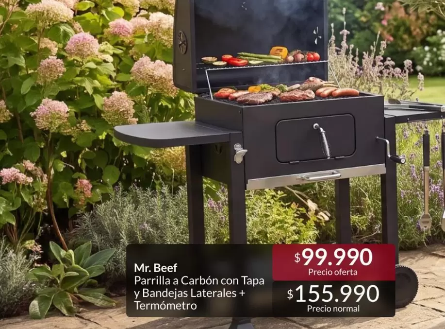 Mr. Beef - Parrilla A Carbon Con Tapa Y Bandejas Laterales