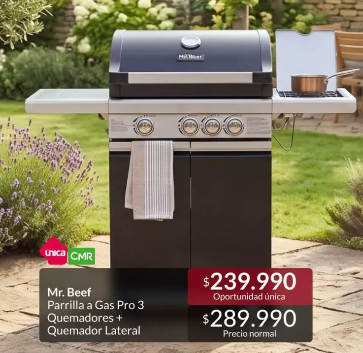 Mr. Beef - Parrilla A Gas Pro 3 Quemadores + Quemador Lateral