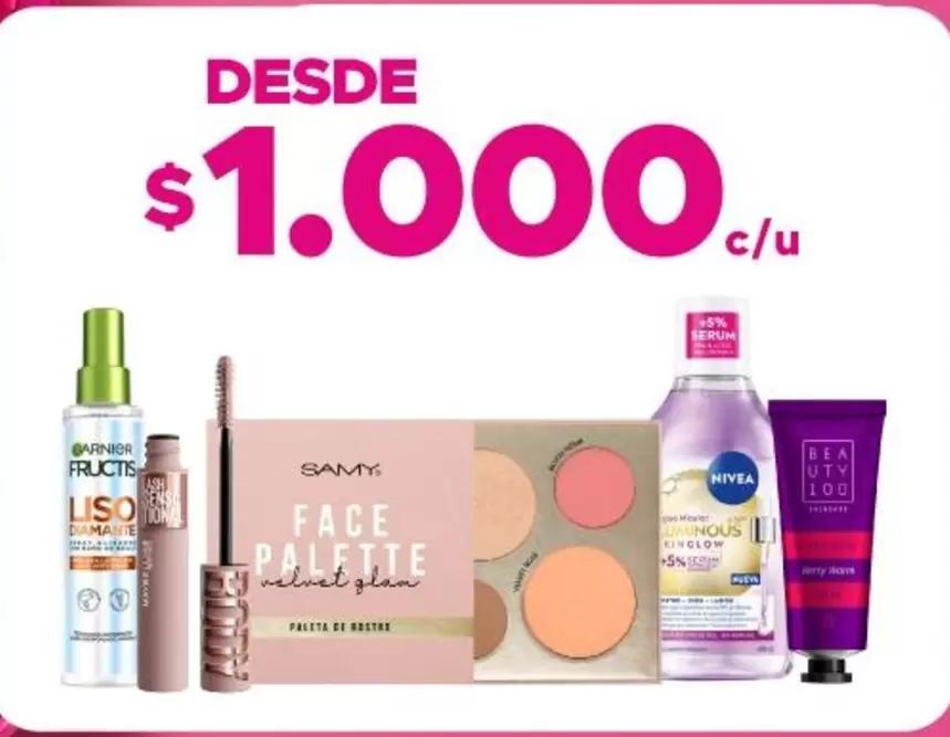 Garnier - Face Palette
