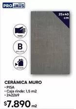 Cerámica Muro