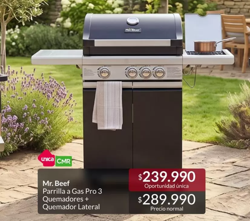 Mr. Beef - Parrilla A Gas Pro 3 Quemadores + Quemador Lateral