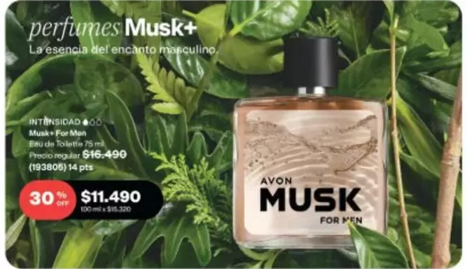Encanto - Avon Musk + Figurines 6-16cm