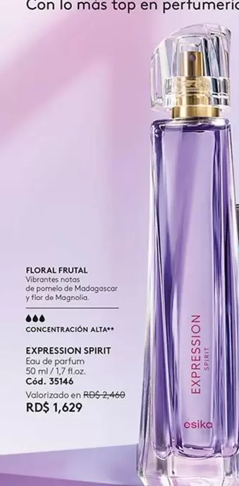 Spirit - Expression