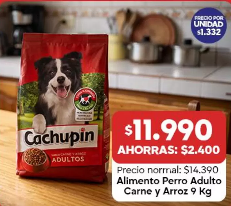Cachupin - Alimento Perro Adulto Carne Y Arroz