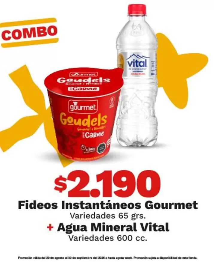 Gourmet - Fideos Instantaneos + Agua Mineral Vital