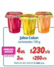 Colun - Jalea