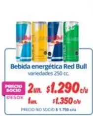 Red Bull - Bebida Energética