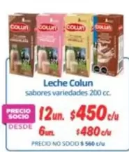 Colun - Leche