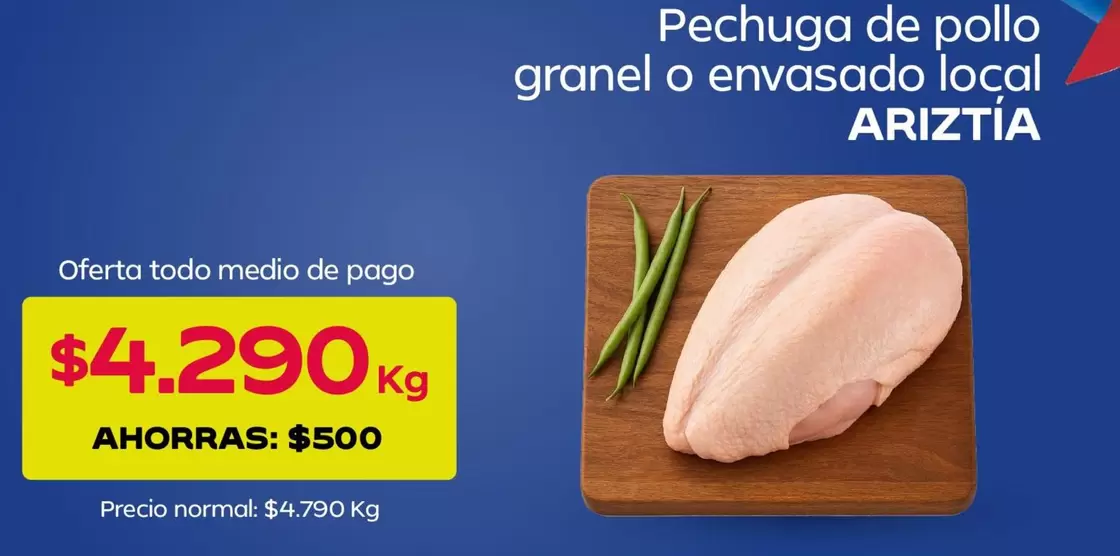 Ariztía - Pechuga De Pollo Granel O Envasado Local