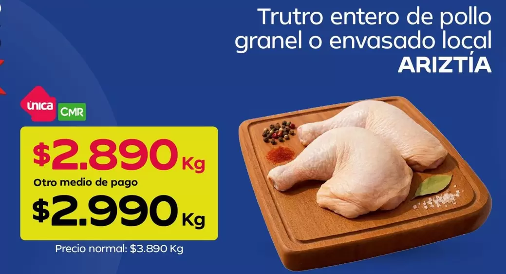 Ariztía - Trutro Entero De Pollo Granel O Envasado Local