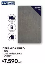 Cerámica Muro