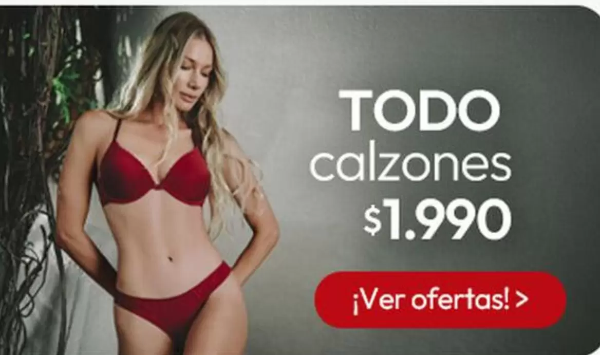 Todo Calzones