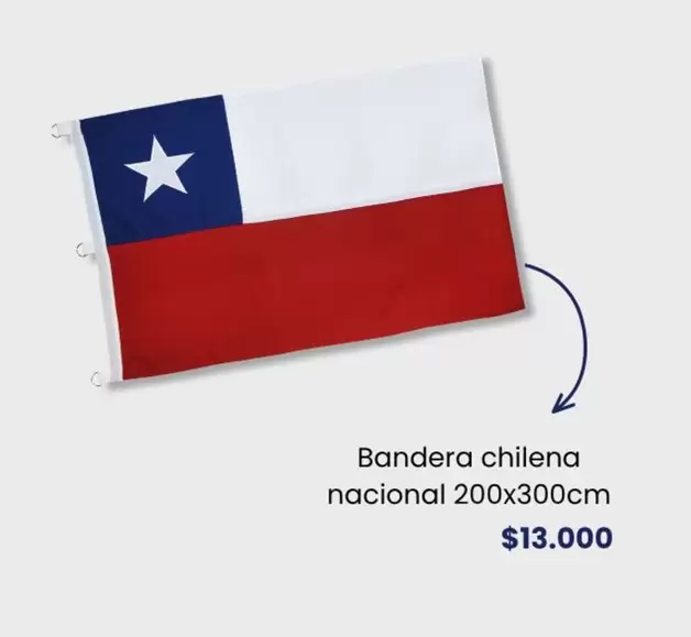 Bandera Chilena Nacional 200x300cm