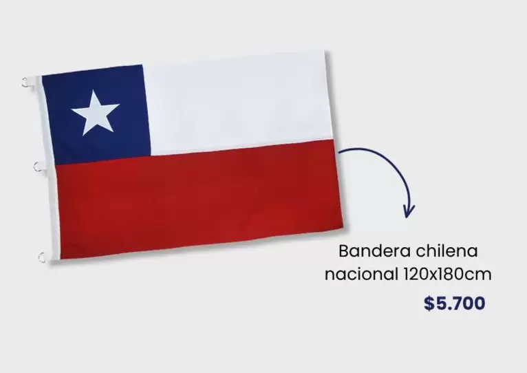 Bandera Chilena Nacional 120x180cm