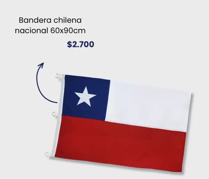 Bandera Chilena Nacional 60x90cm