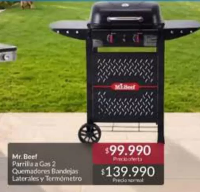 Mr. Beef - Parrilla A Gat 2 Quemadores, Bandeja: Lateralés Y Termometro