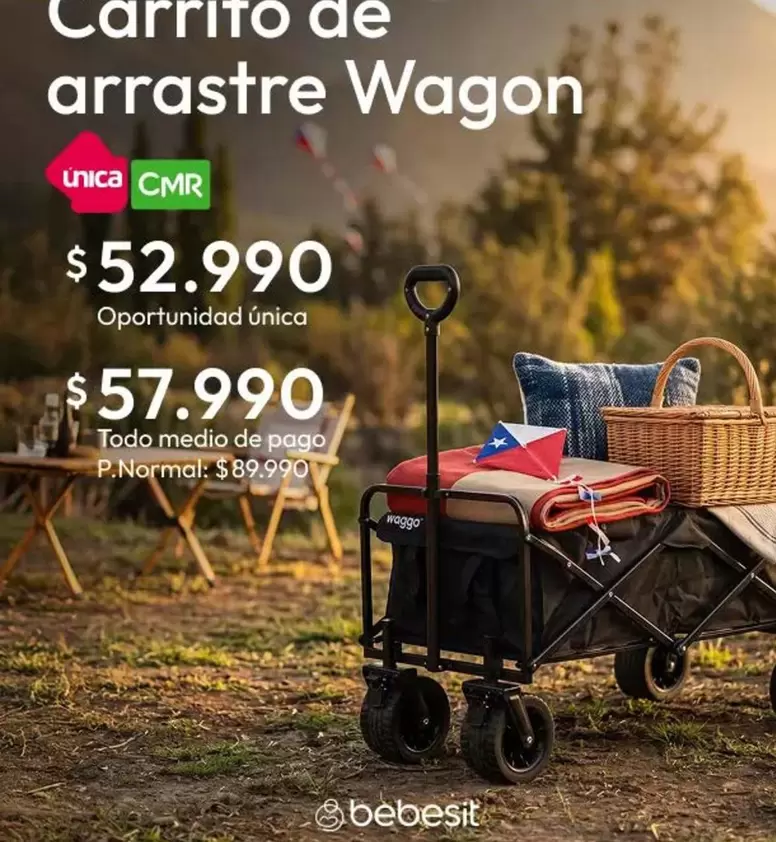 Bebesit - Carrito De Arrastre Wagon