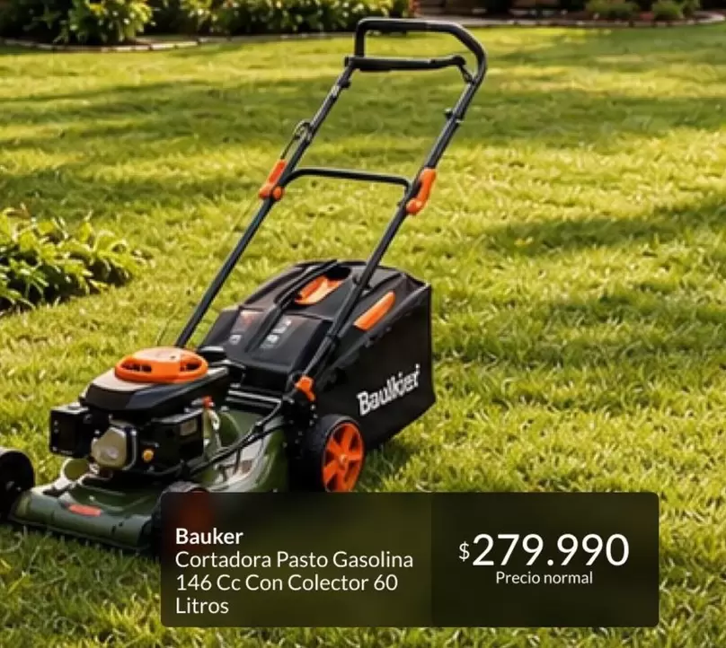 Bauker - Cortadora Pasto Gasolina 146 C Con Colector 60 Litros