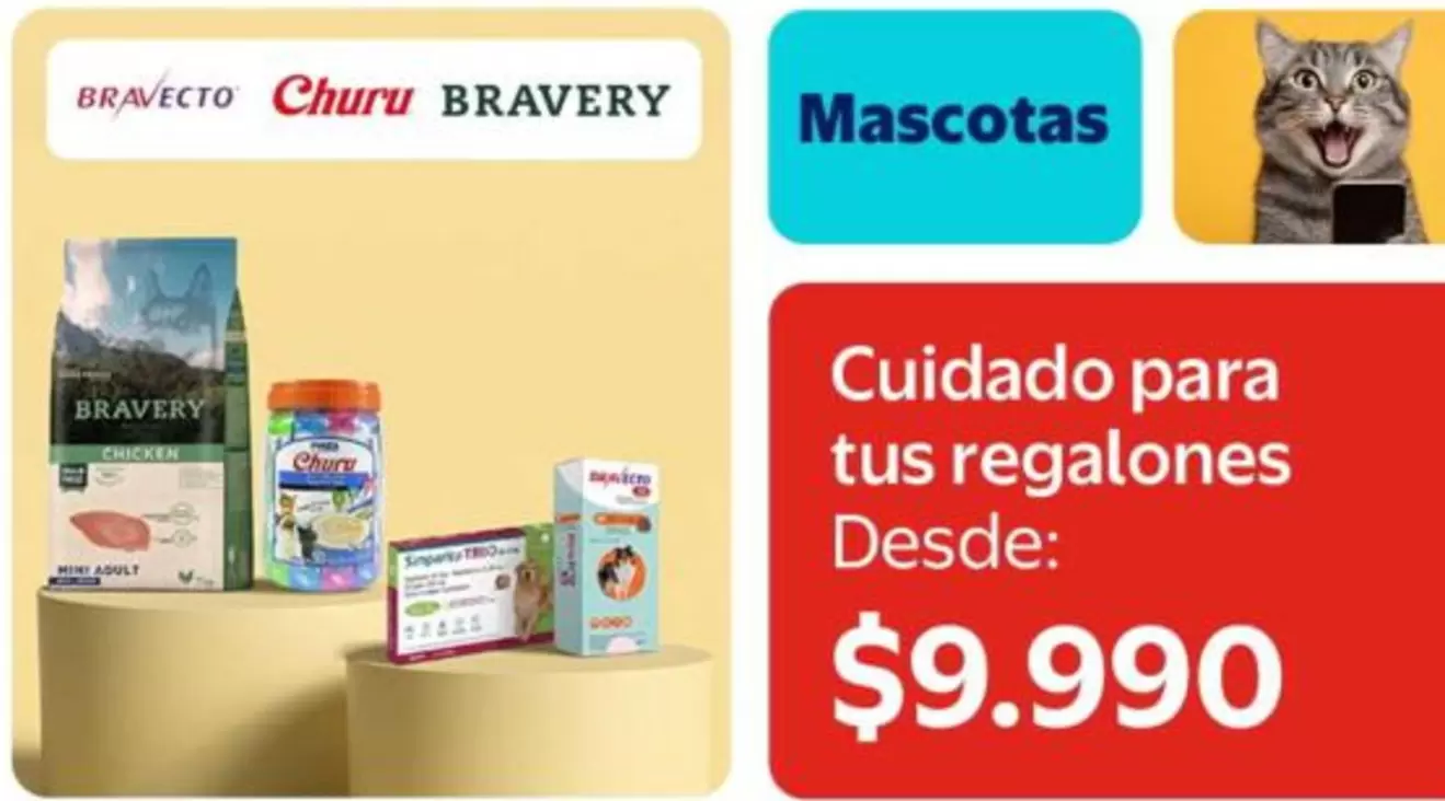 Cuidado Para Tus Regalones