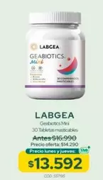 Gabbiadenti