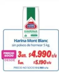 Mont Blanc - Harina Blanc