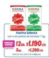 Selecta - Harina