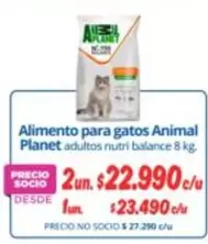 Animal Planet - Alimento Para Gatos