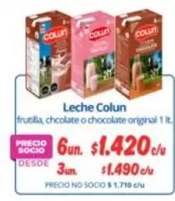 Colun - Leche