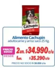 Cachupin - Alimento