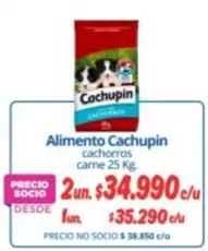 Cachupin - Alimento