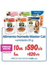 Cat - Alimento Húmedo Master